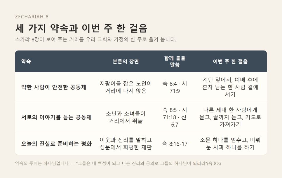 설교 | 지팡이와 웃음이 함께 있는 거리 (스가랴 8:1-8) 본문 이미지