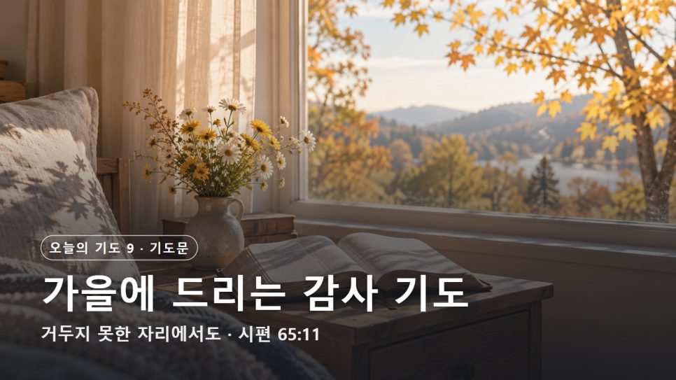 오늘의 기도 9 | 가을에 드리는 감사 기도, 거두지 못한 자리에서도 (시편 65:11) 본문 이미지