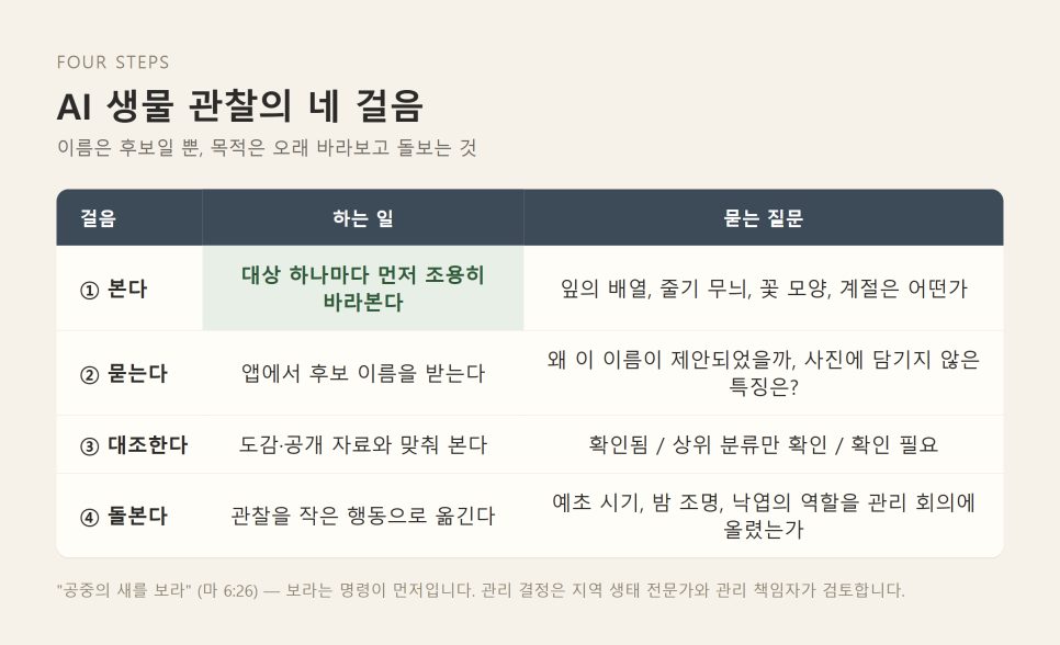 교회 창조돌봄 프로그램 | 교회 마당 AI 생물 관찰 시범안 본문 이미지